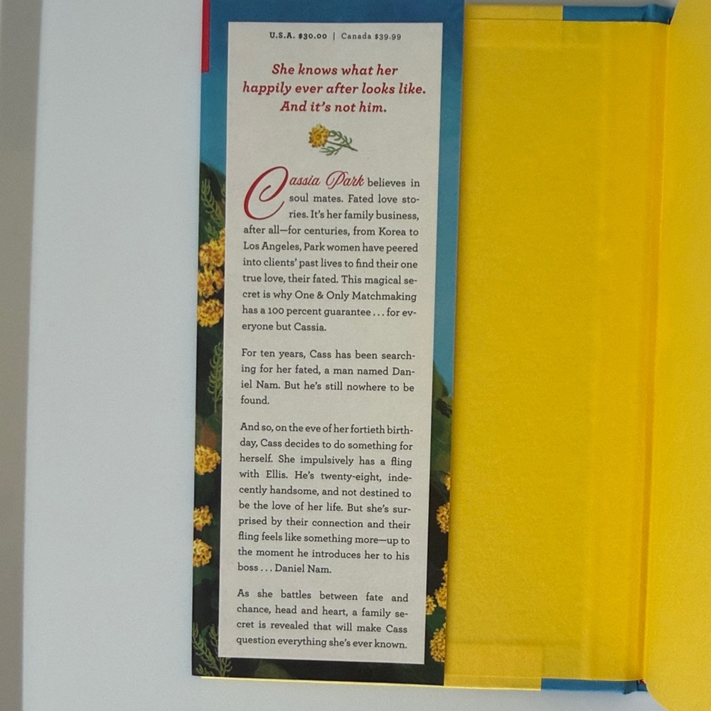 One & Only by Maurene Goo | Book of the Month BOTM - Picture 4 of 5